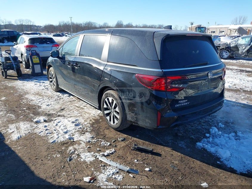 Honda Odyssey 2025 — миниатюра 3