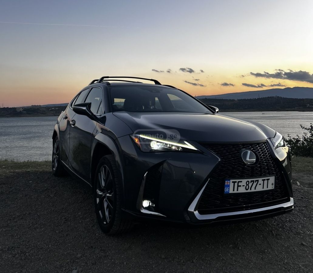 Lexus UX 250 h - фото 11