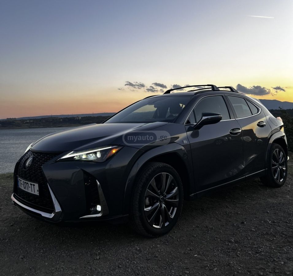 Lexus UX 250 h - фото 12