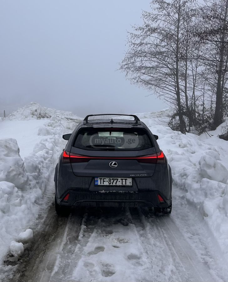 Lexus UX 250 h - фото 3