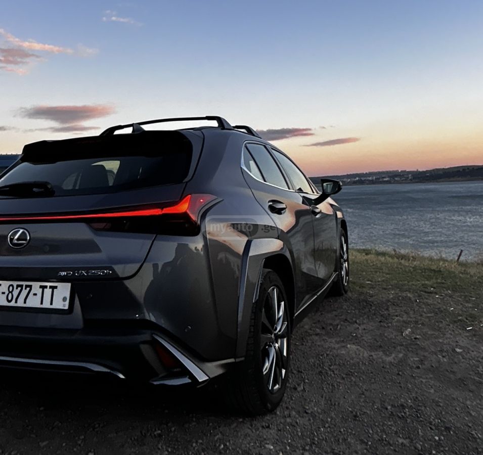 Lexus UX 250 h - фото 7