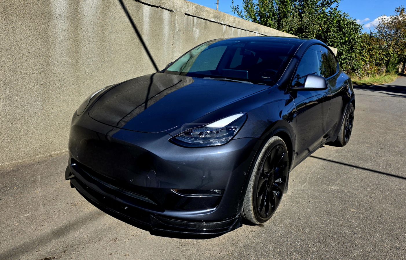 Tesla Model Y - фото 1