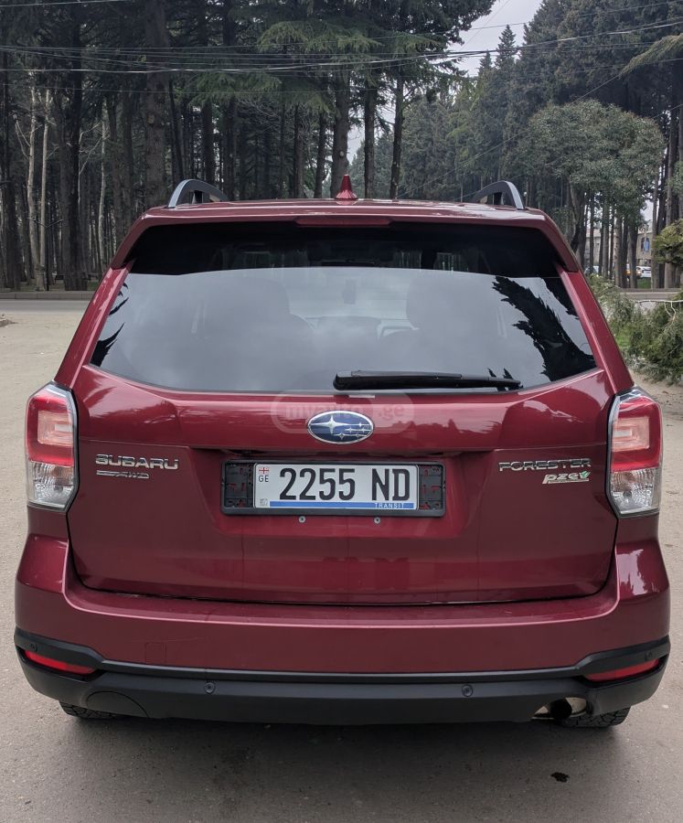 Subaru Forester - фото 4