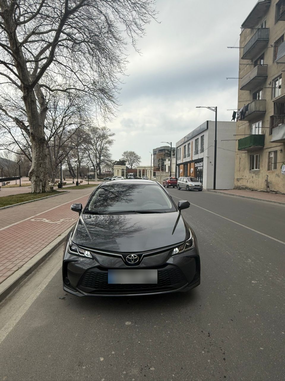 Toyota Corolla - фото 1