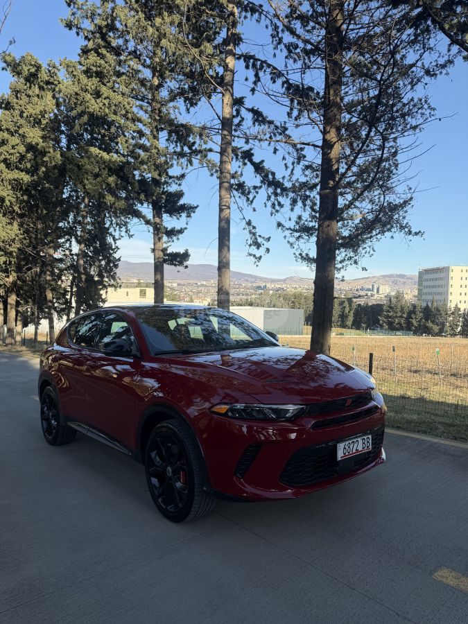 Dodge Hornet - фото 3