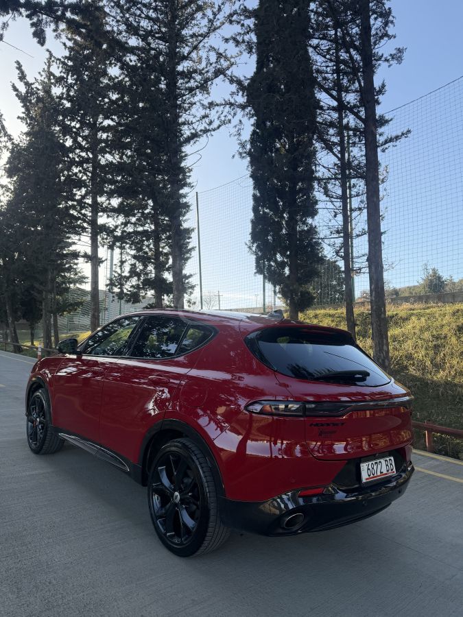 Dodge Hornet - фото 5