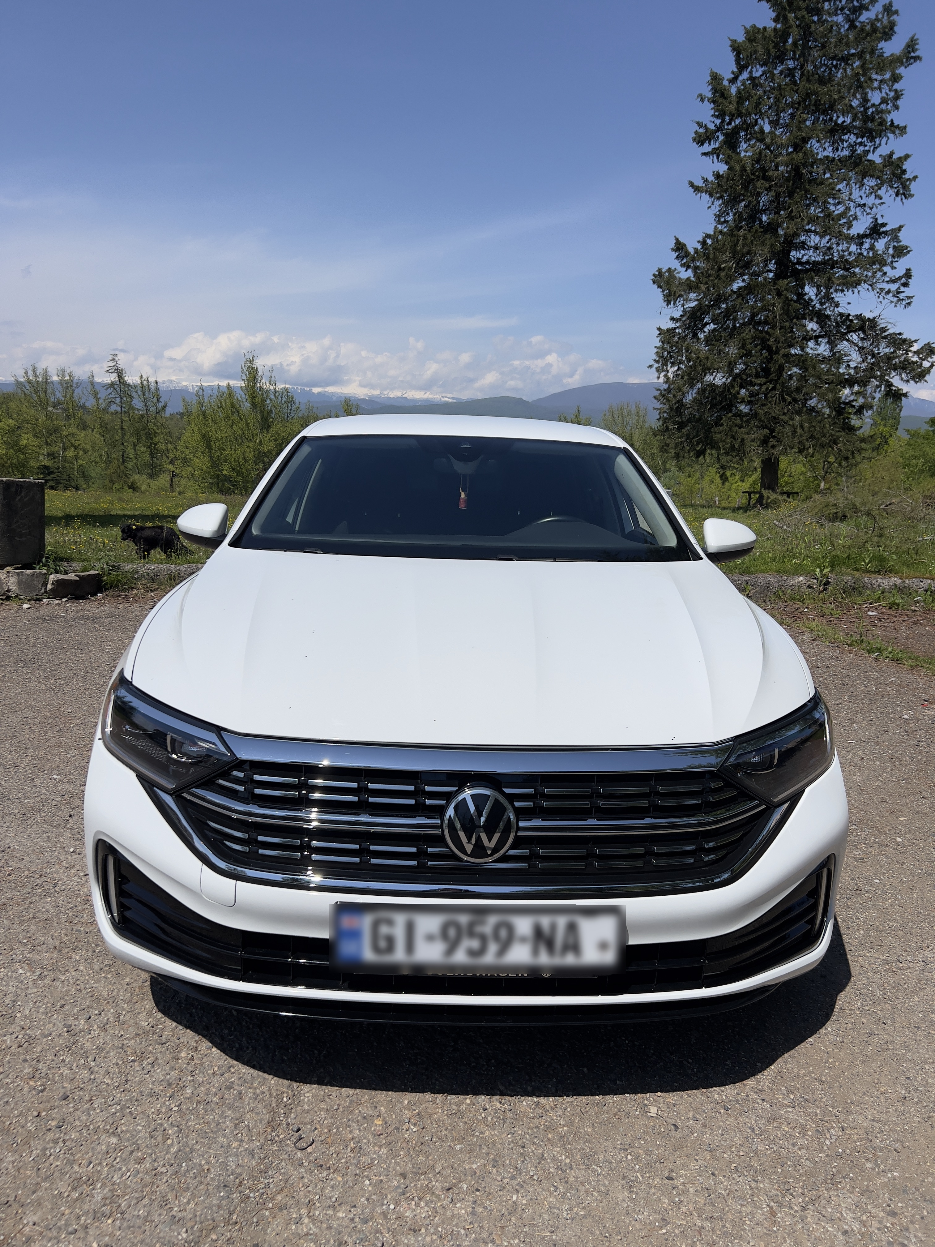 Volkswagen Jetta - фото 2