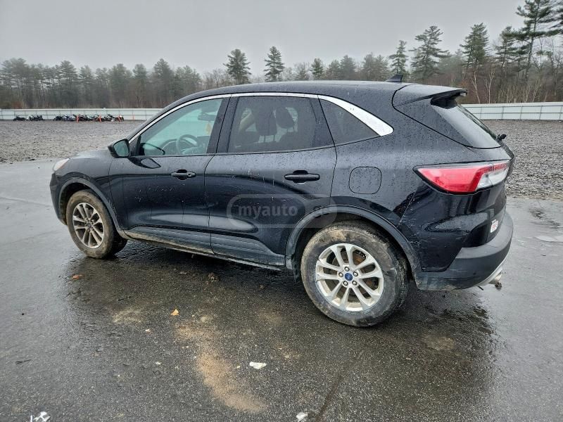 Ford Escape - фото 2