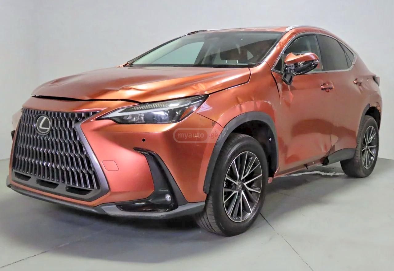 Lexus NX 200 2025 — миниатюра 2