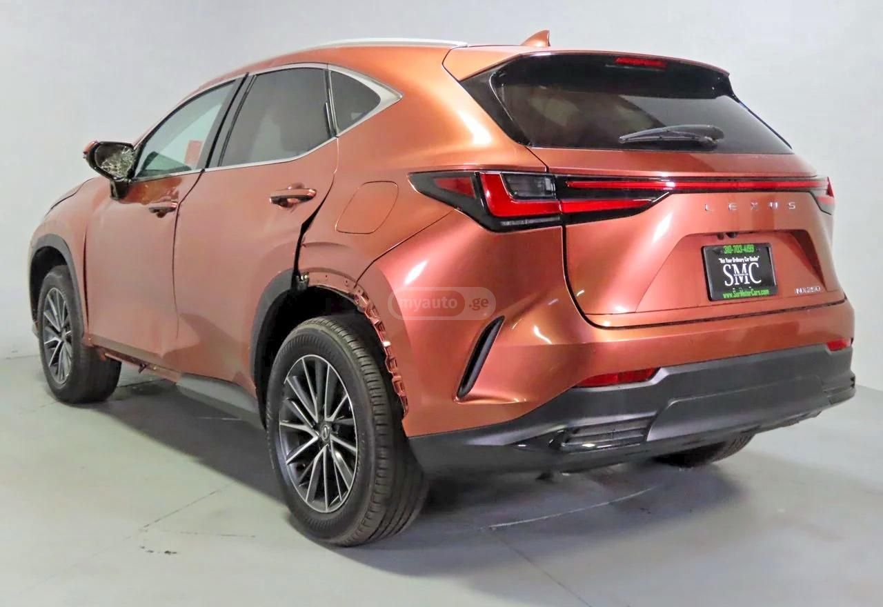 Lexus NX 200 2025 — миниатюра 4