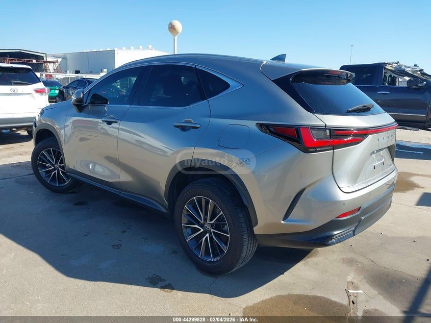 Lexus NX 250 - фото 1