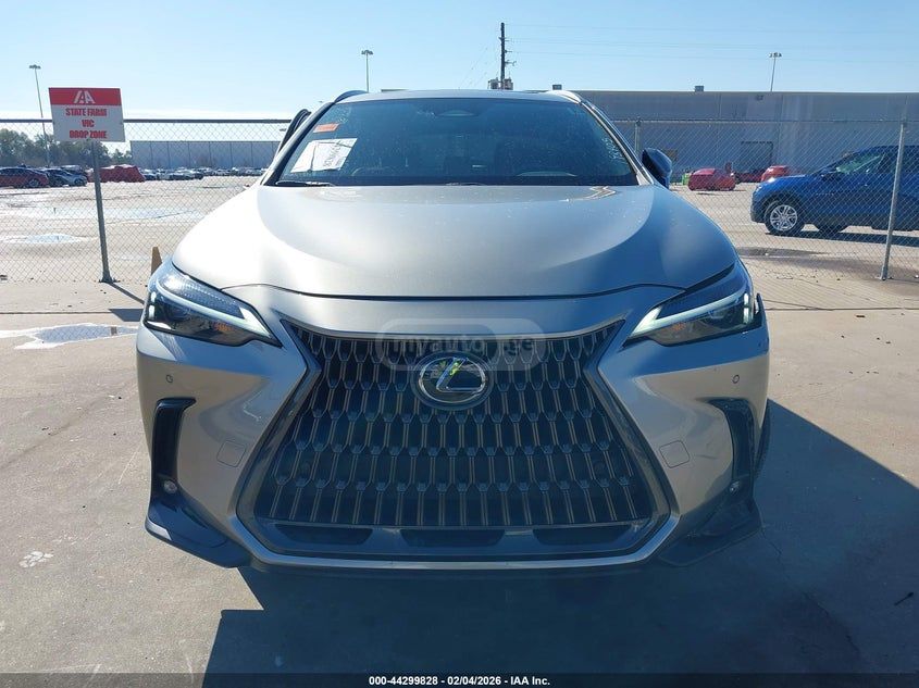 Lexus NX 250 - фото 11