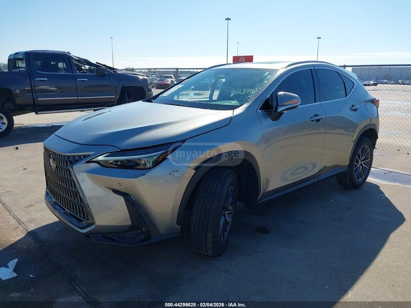 Lexus NX 250 - фото 2