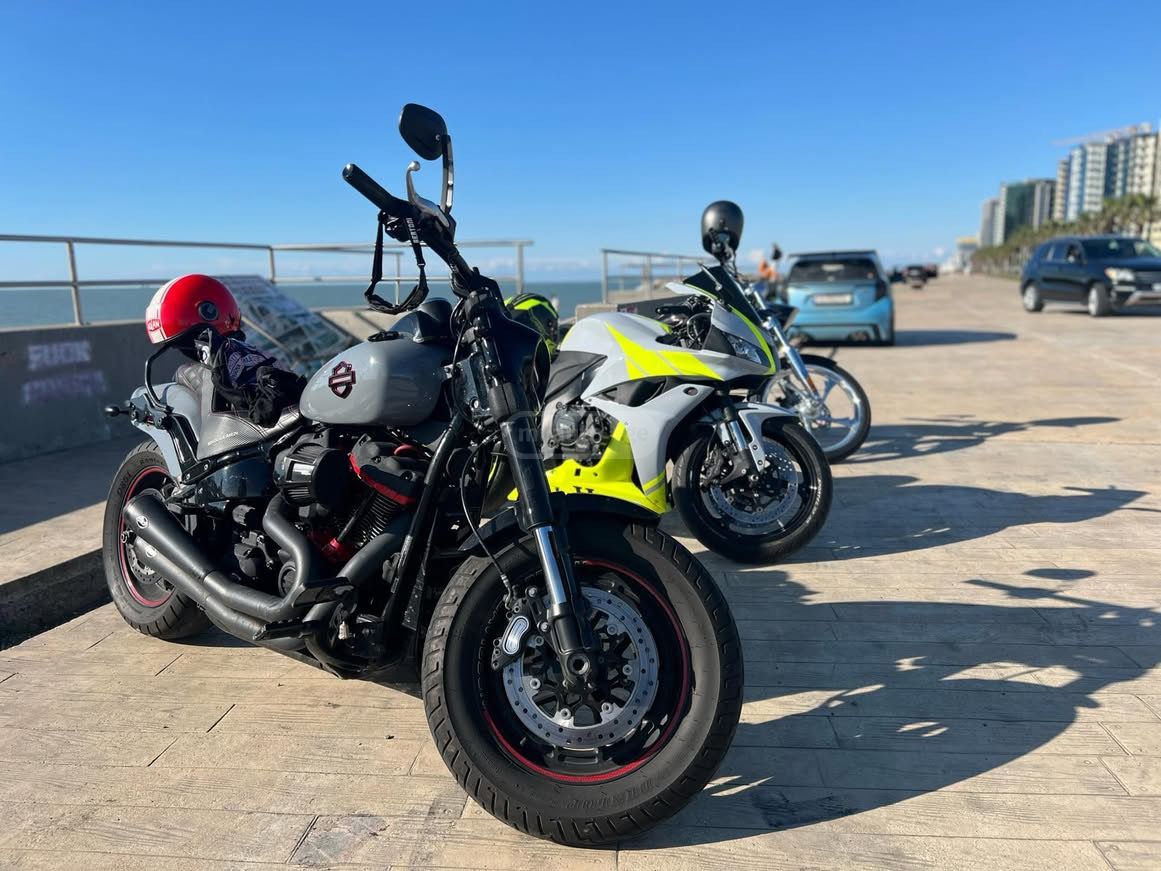 HARLEY-DAVIDSON 131 inch — миниатюра 7