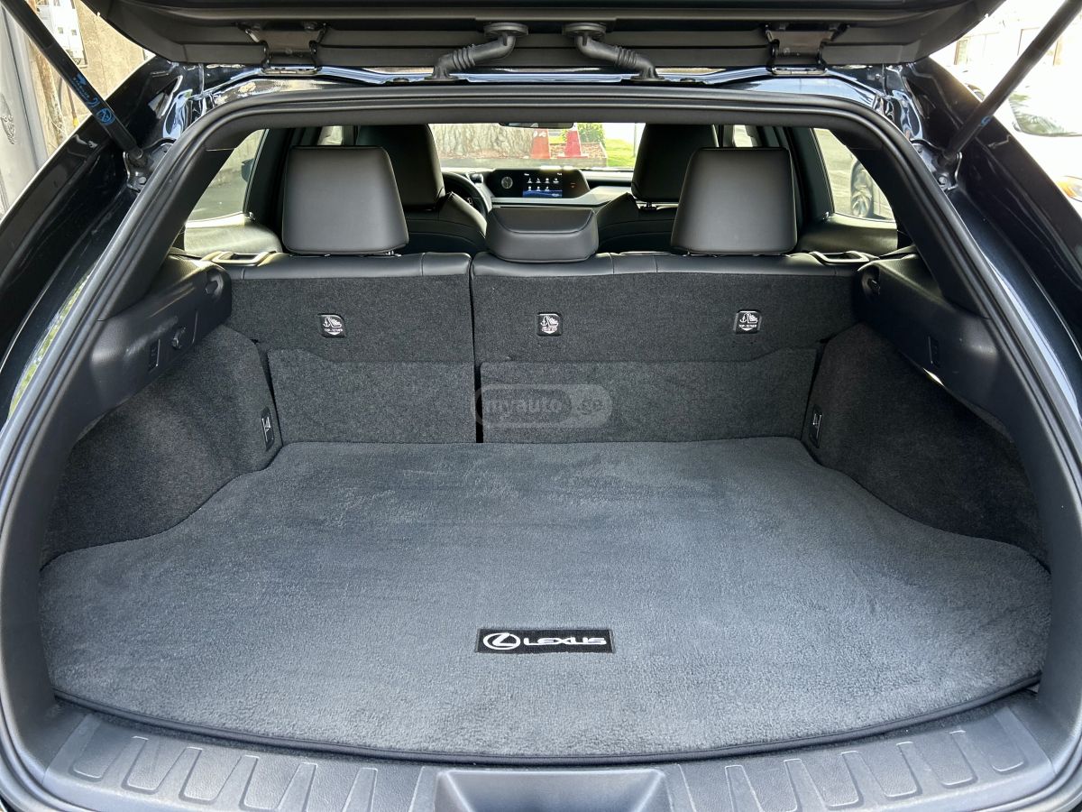 Lexus UX 250 h - фото 10