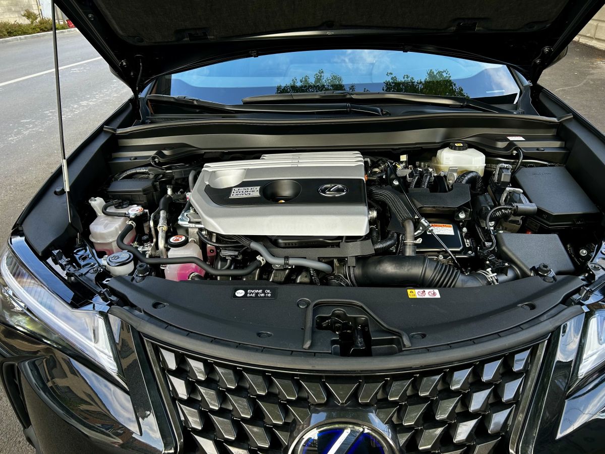 Lexus UX 250 h - фото 13