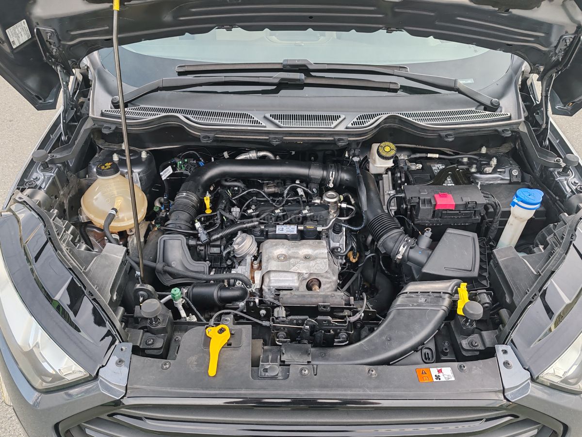 Ford EcoSport - фото 10