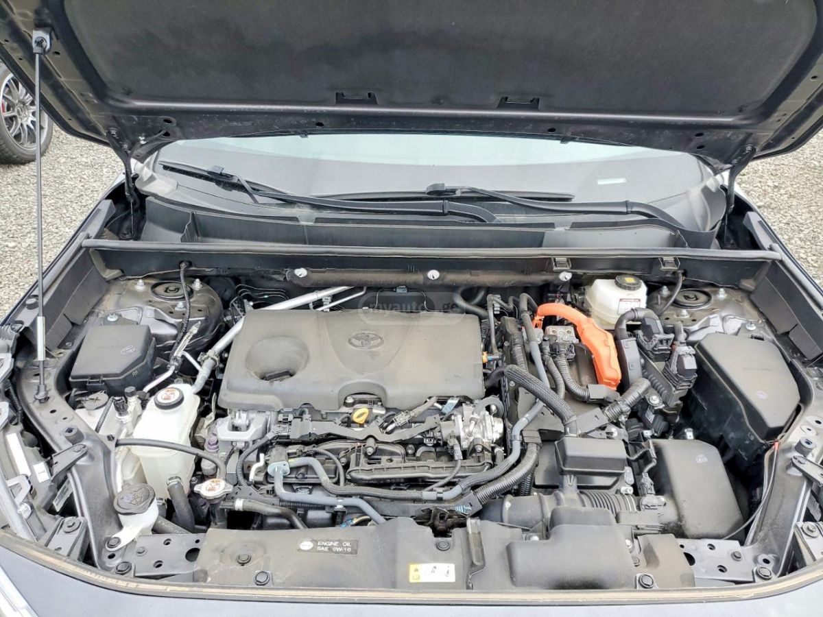 Toyota XLE 4dr All-Wheel Drive Automa — миниатюра 12