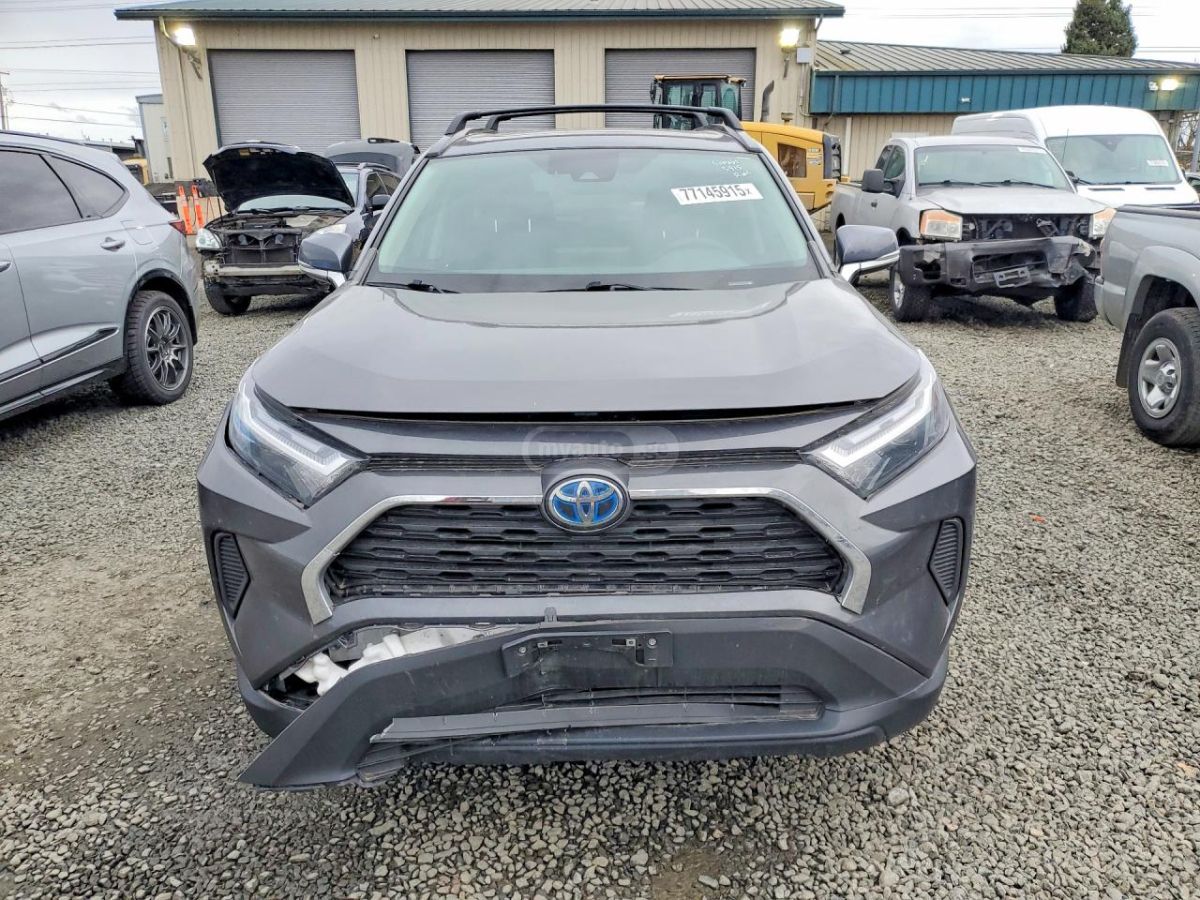 Toyota XLE 4dr All-Wheel Drive Automa — миниатюра 5