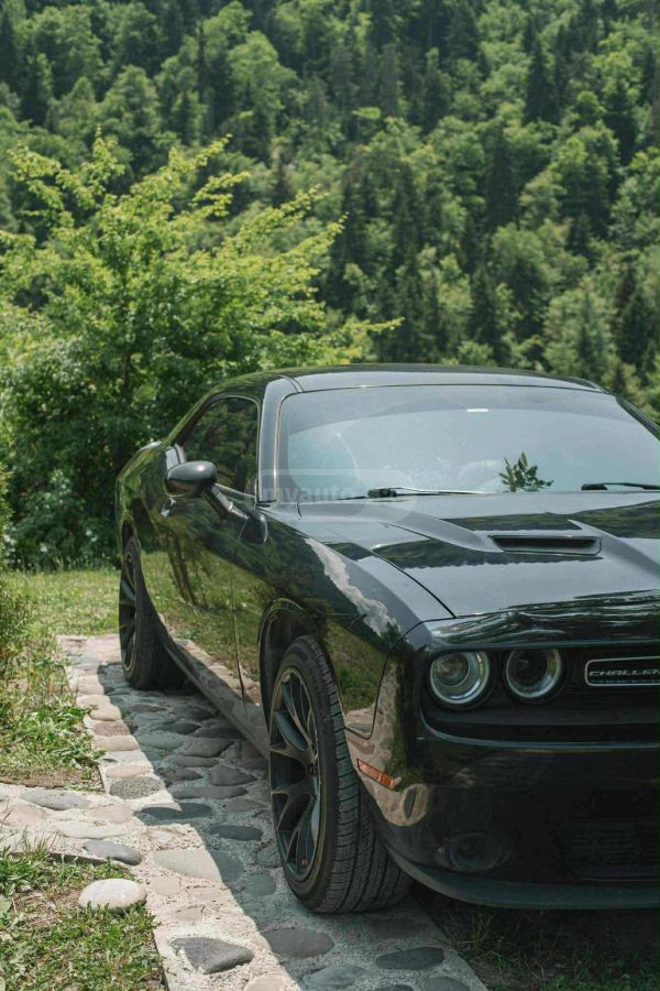 Dodge Challenger - фото 10
