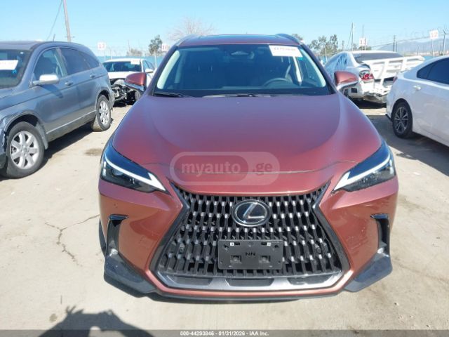 Lexus NX 250 2025 — миниатюра 1