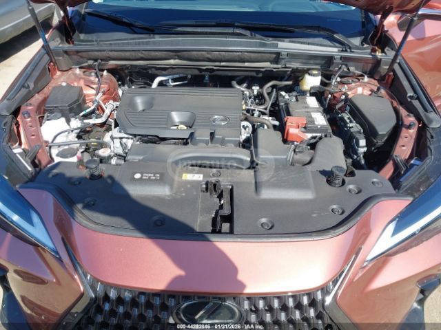 Lexus NX 250 2025 — миниатюра 10