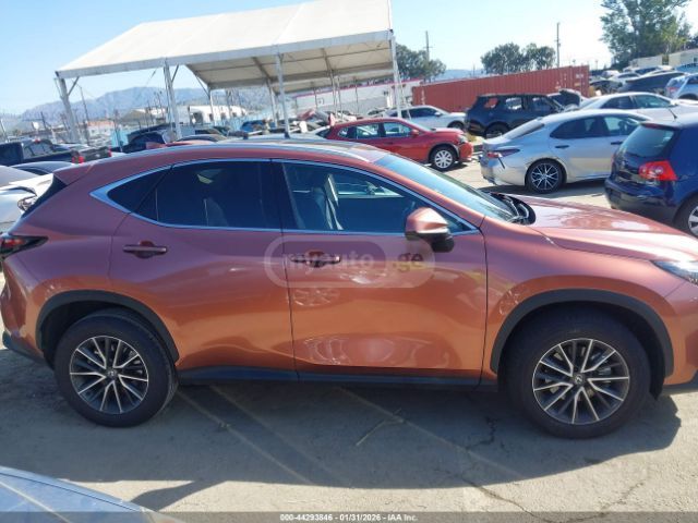Lexus NX 250 2025 — миниатюра 13