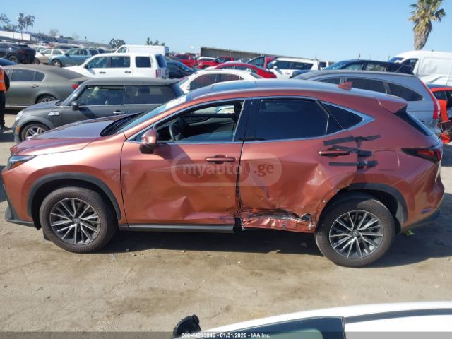 Lexus NX 250 2025 — миниатюра 14