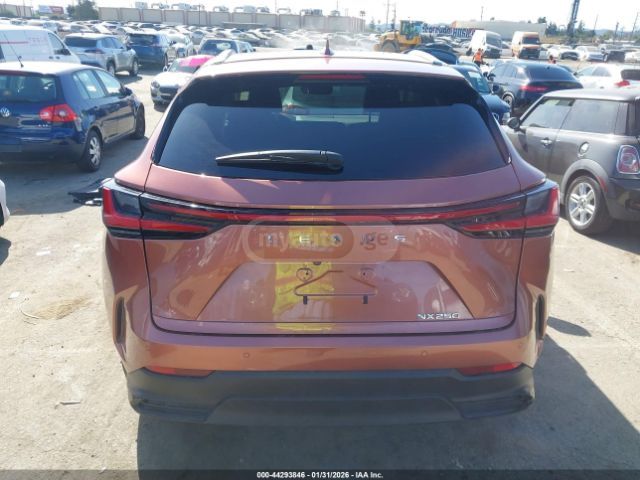 Lexus NX 250 2025 — миниатюра 15