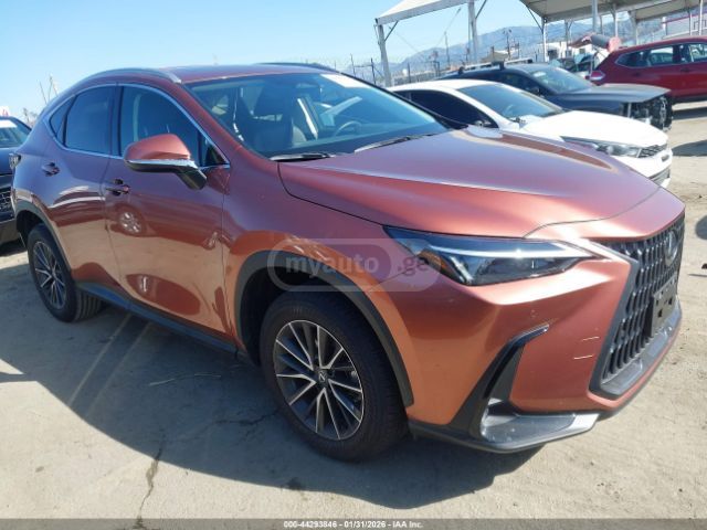 Lexus NX 250 2025 — миниатюра 2