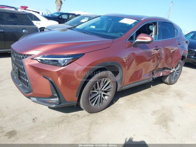 Lexus NX 250 2025 — миниатюра 3