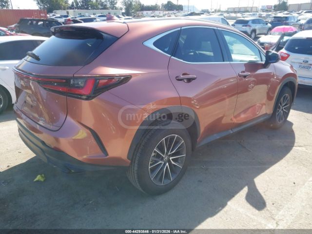 Lexus NX 250 2025 — миниатюра 5