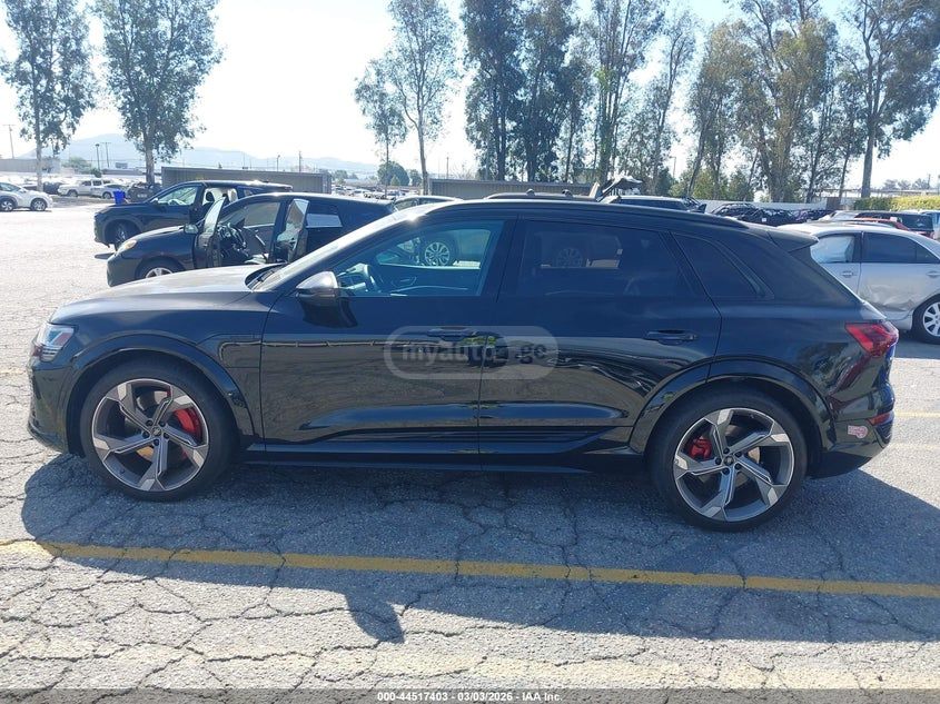 Audi SQ8 2024 — миниатюра 13