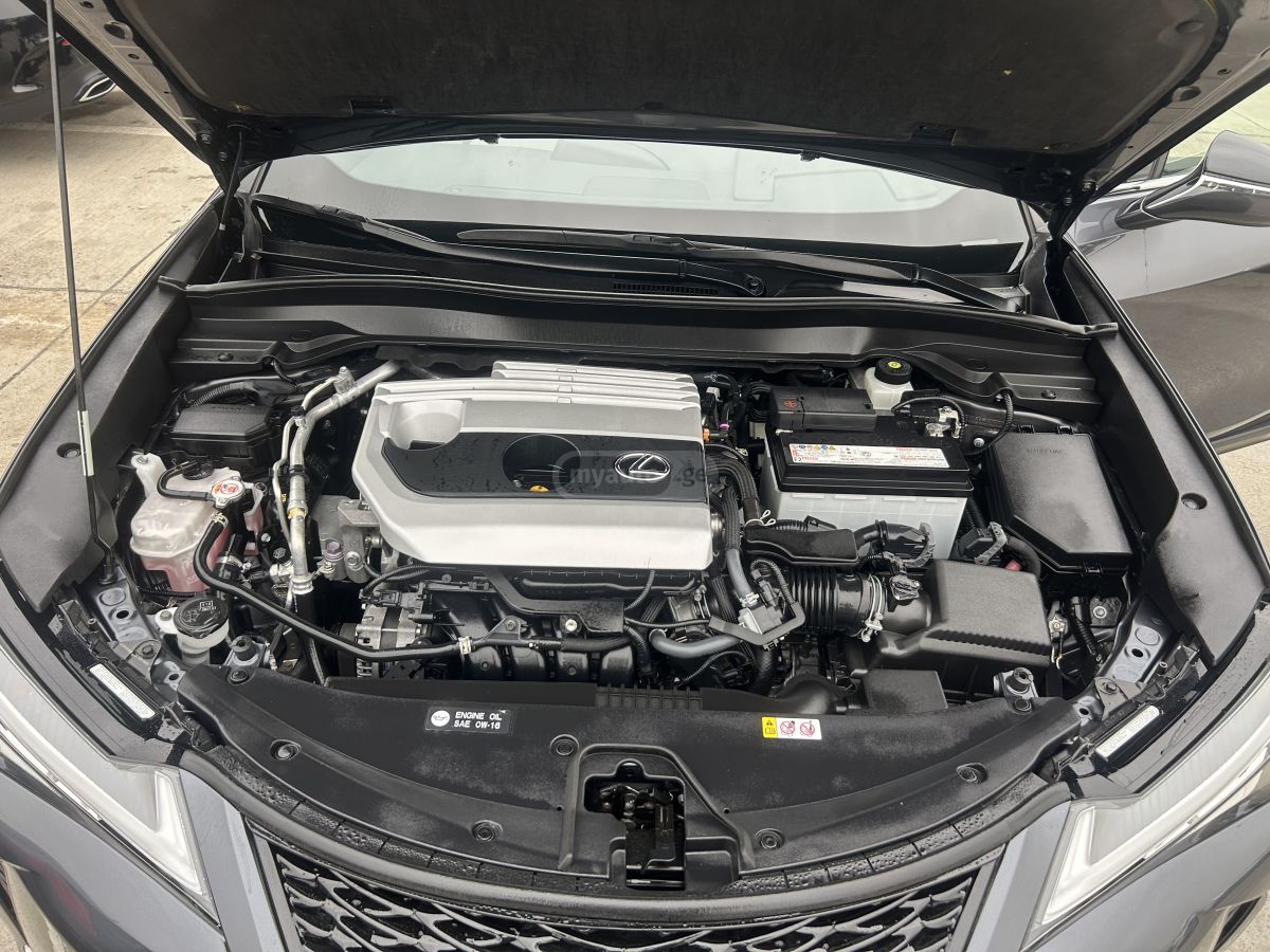 Lexus UX 200 2022 — миниатюра 10