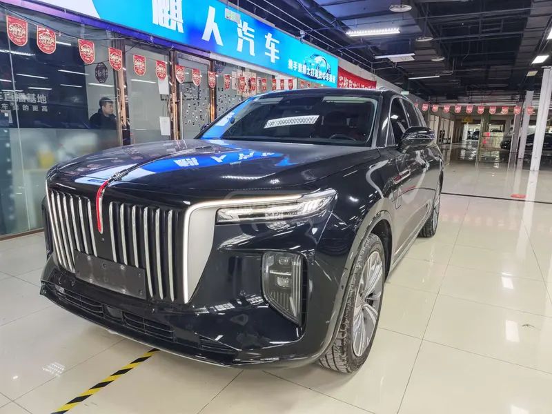 Hongqi E-HS9 - фото 1