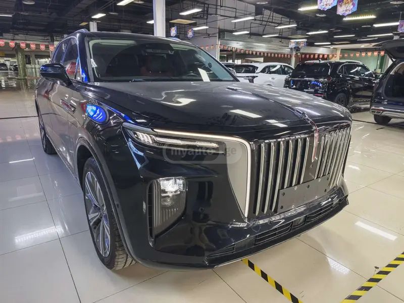 Hongqi E-HS9 - фото 3