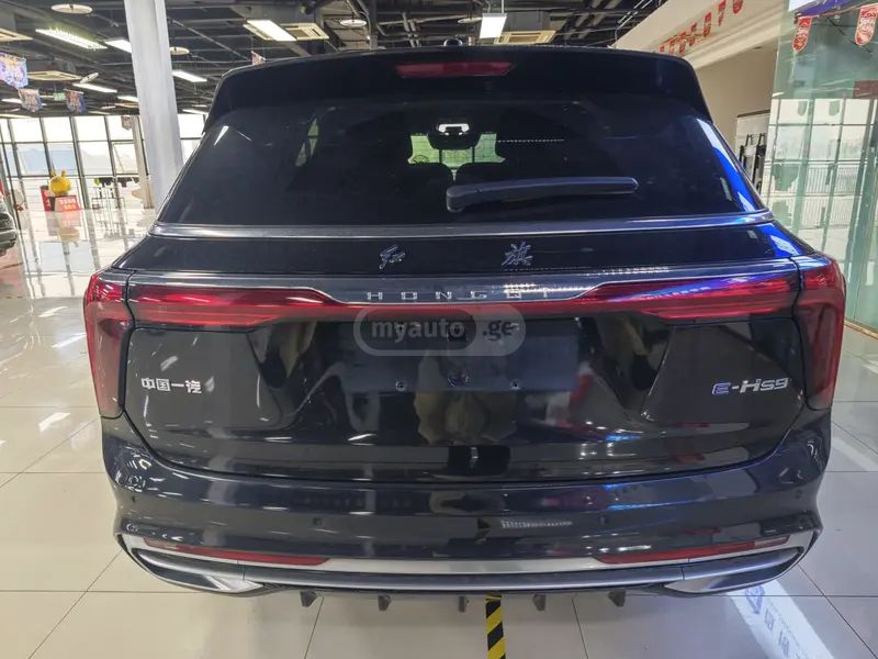 Hongqi E-HS9 - фото 4