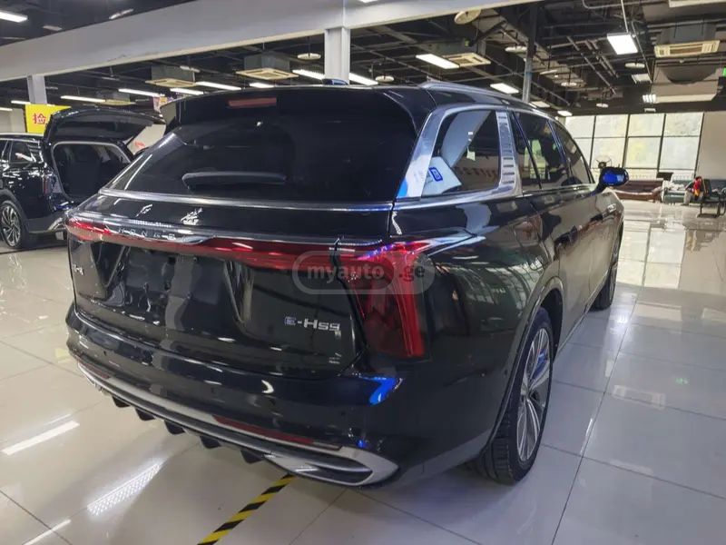 Hongqi E-HS9 - фото 5