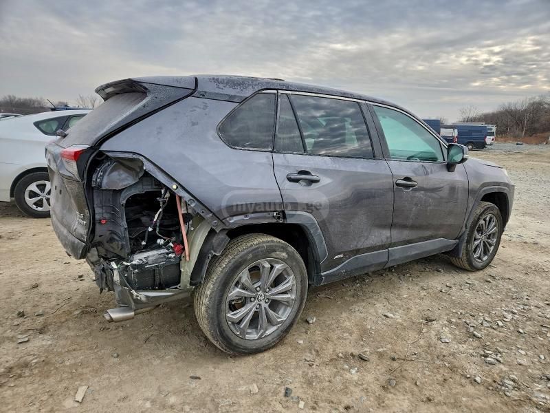 Toyota XLE — миниатюра 4