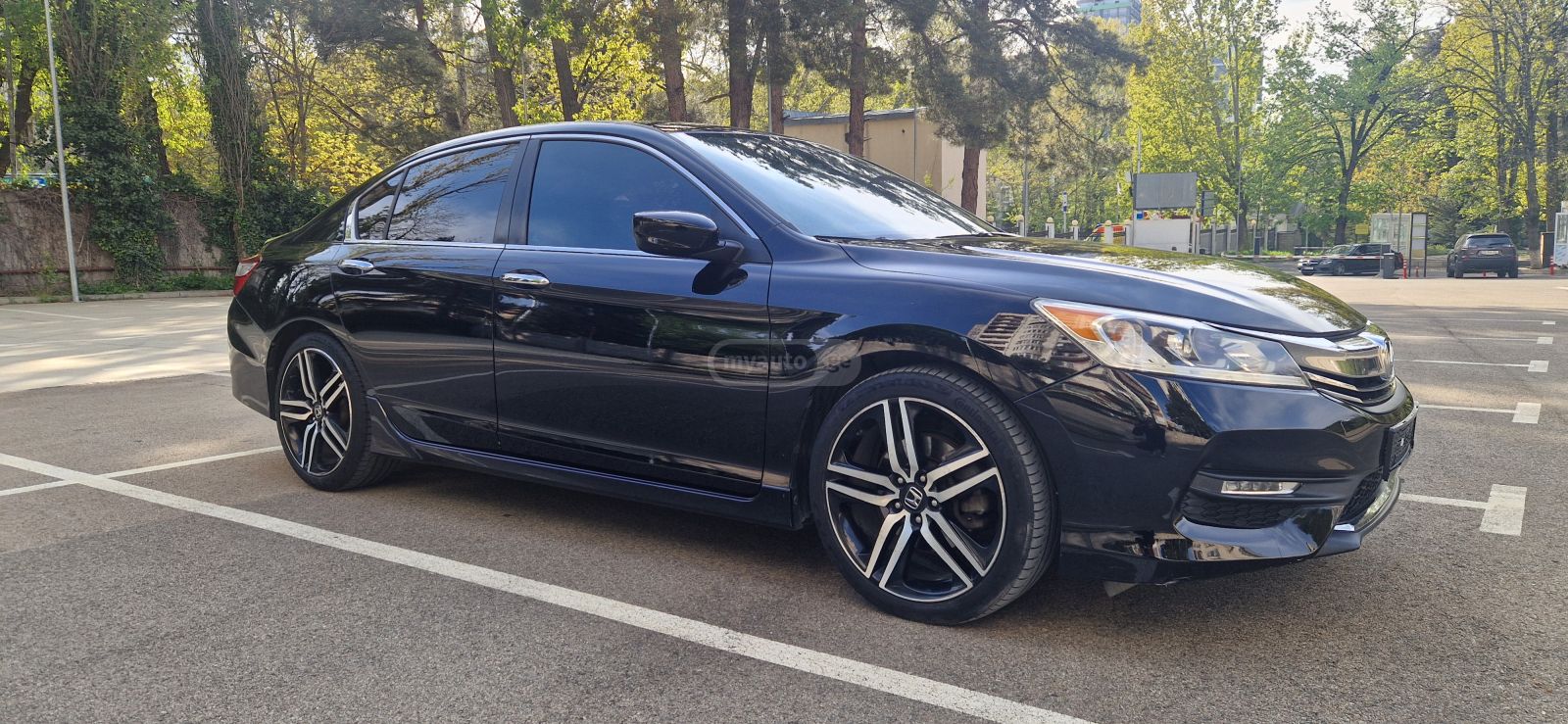 Honda Accord - фото 5