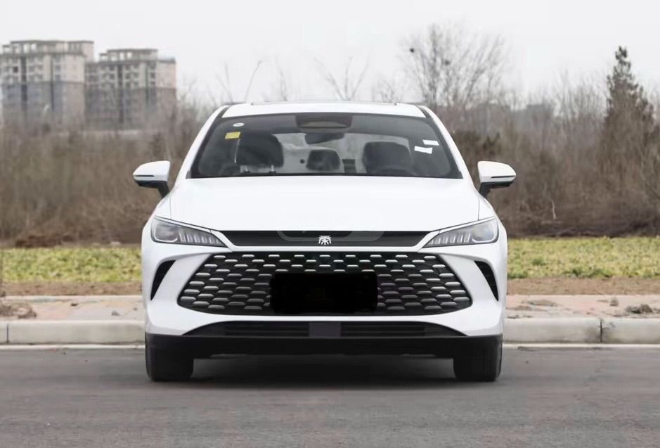 BYD Qin Plus - фото 1