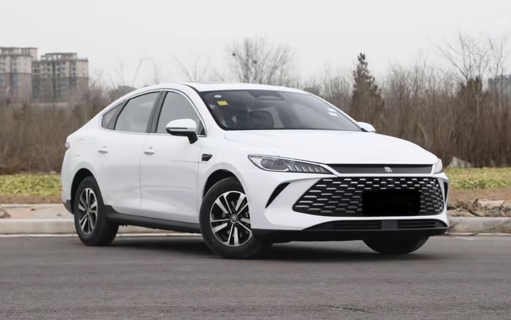 BYD Qin Plus - фото 2