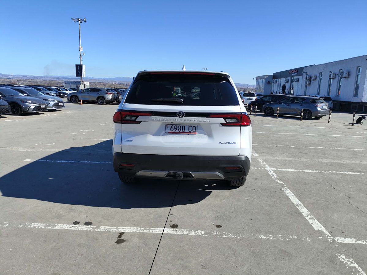 Toyota PLATINIUM — миниатюра 5