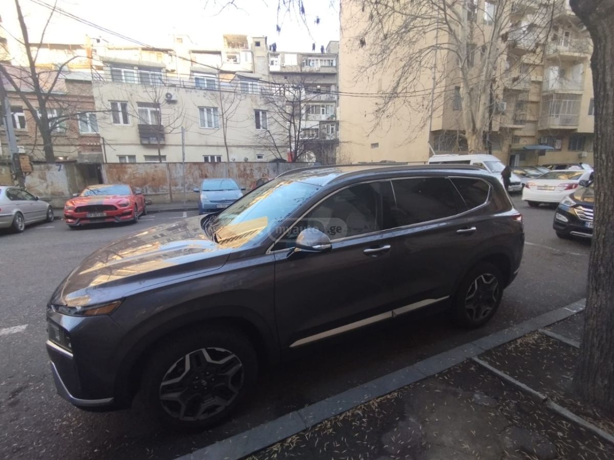 Hyundai Santa FE - фото 10