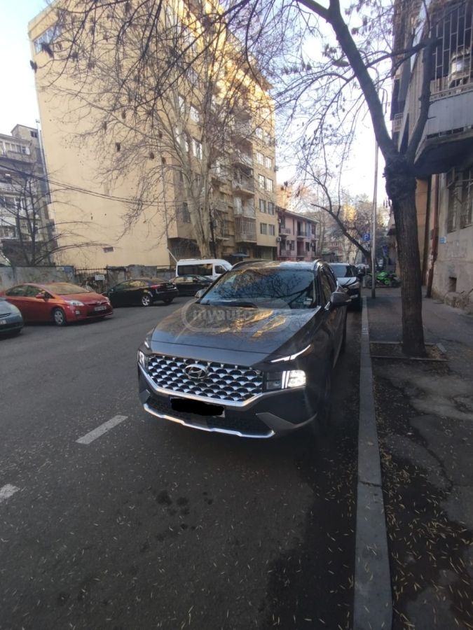Hyundai Santa FE - фото 4