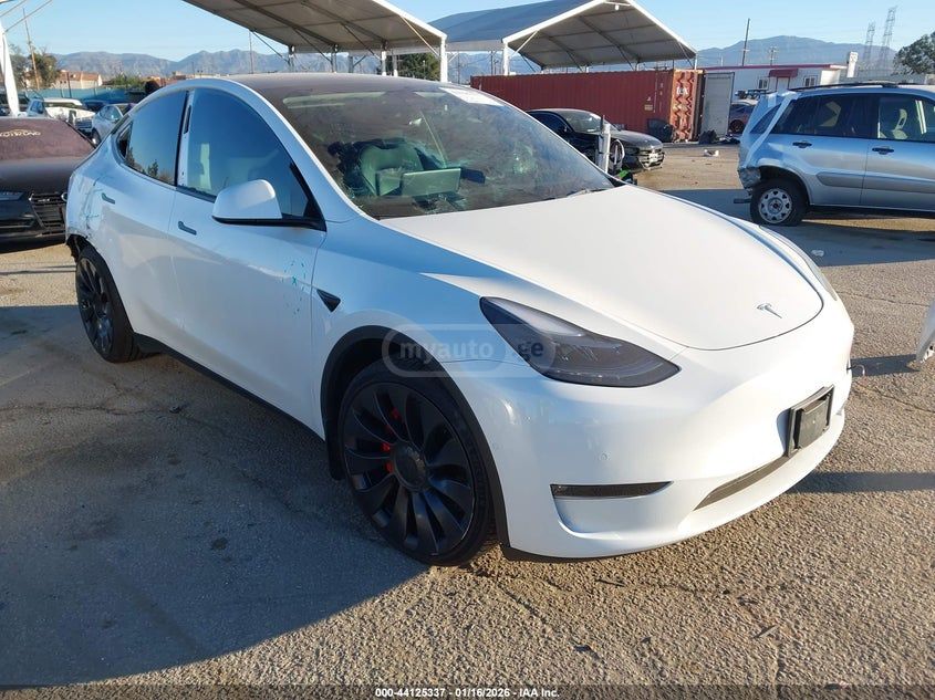 Tesla Model Y - фото 1