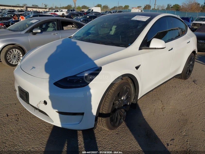 Tesla Model Y - фото 2