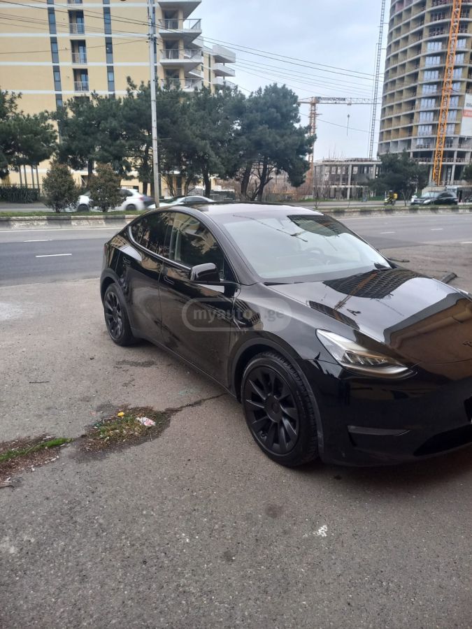 Tesla Model Y - фото 1