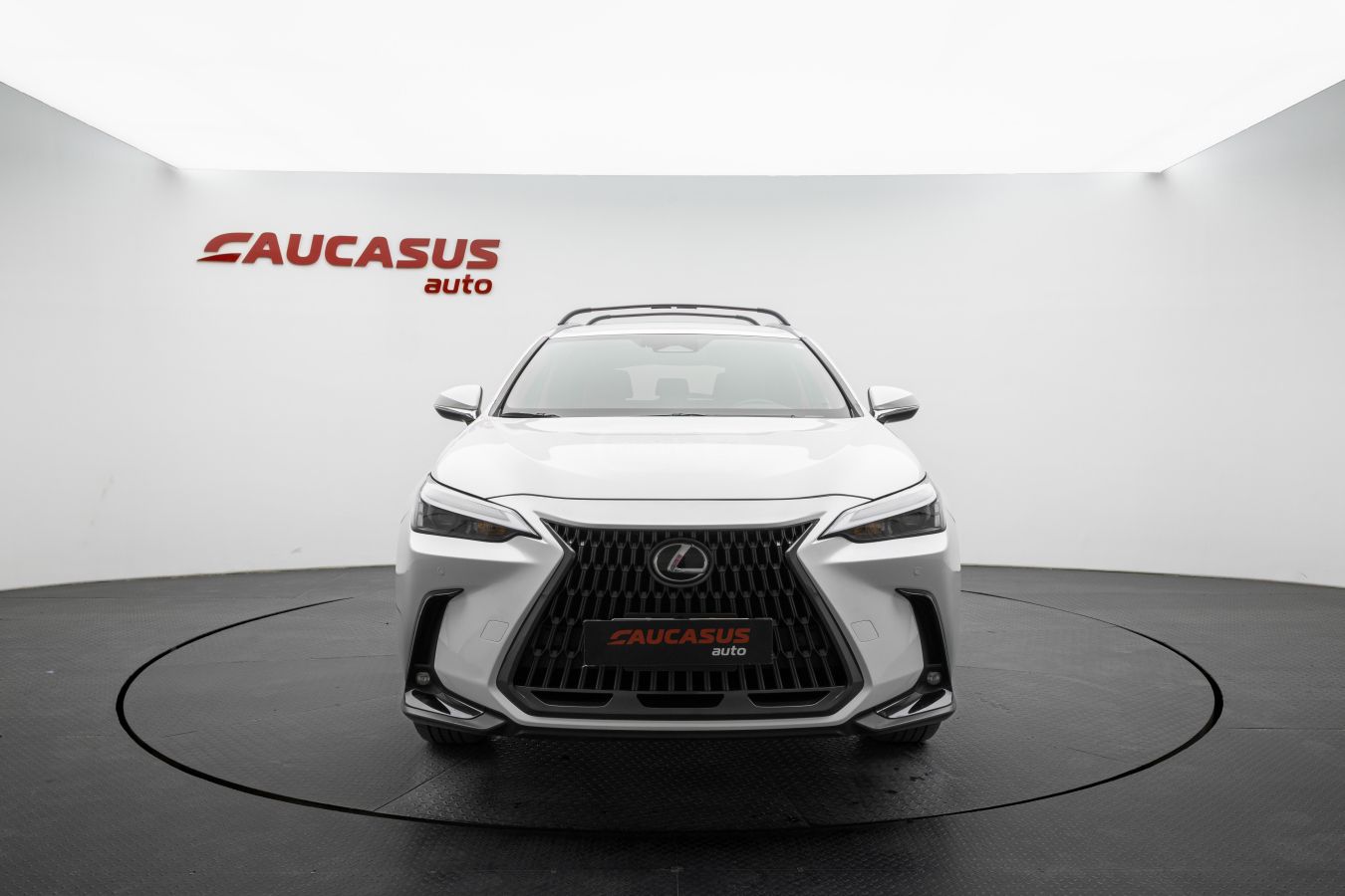 Lexus NX 250 Lexus NX 2025 — миниатюра 2