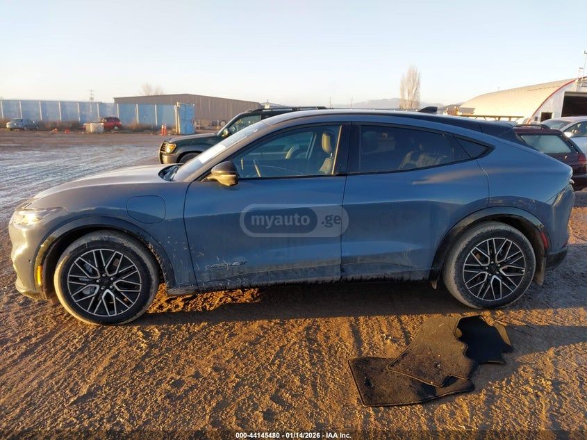 Ford Mustang Mach-E 2024 — миниатюра 15